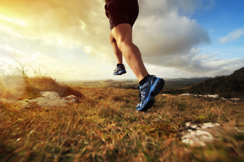 From Sedentary to Marathon in 1 Year = Huge Heart Changes