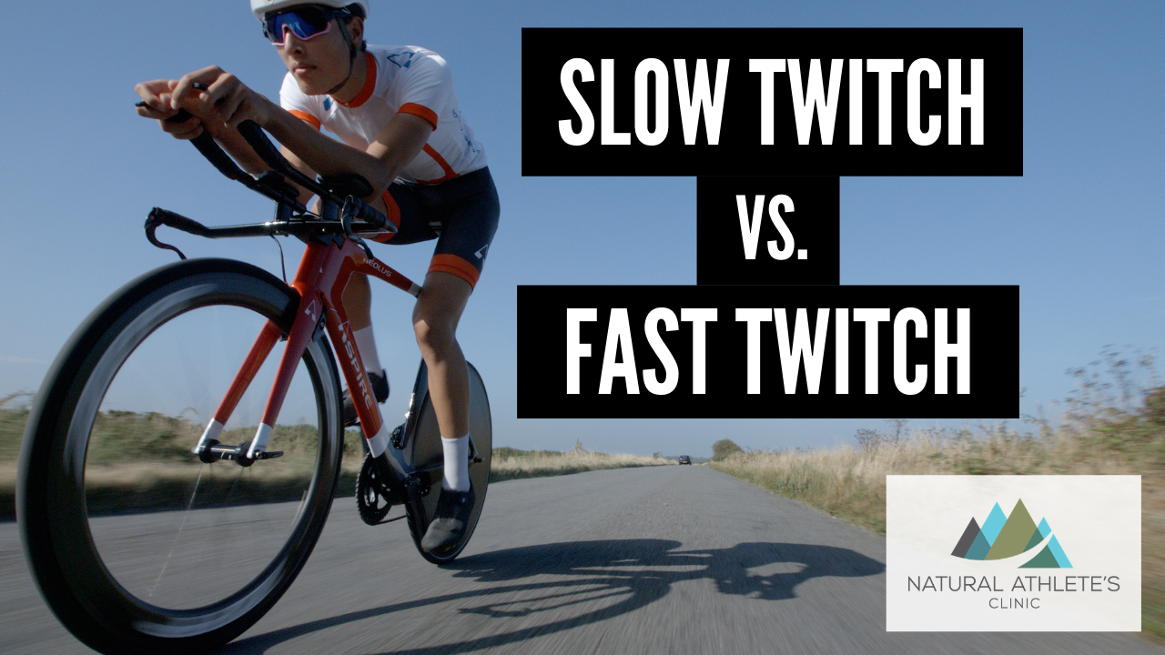 Video: Differences Between Fast Twitch & Slow Twitch Muscle Fibers and Muscle Recovery