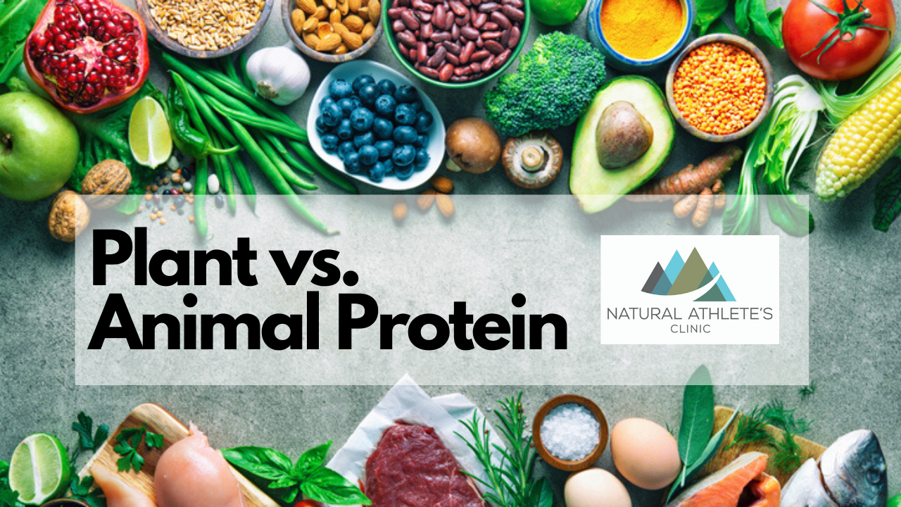 Video - Plant Based Protein Vs. Animal Based Protein - Biochemical Differences in Absorption and Utilization