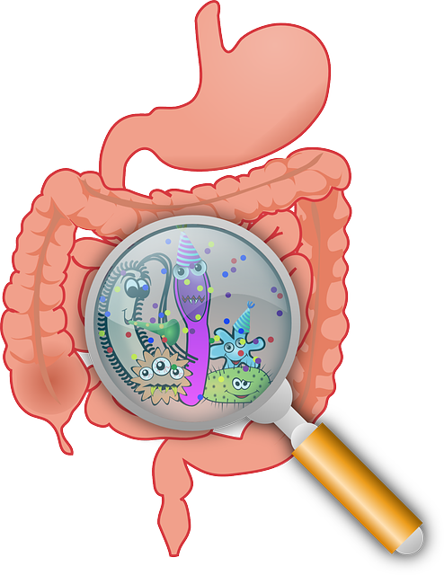 Leaky Gut, Probiotics and Athletes – What’s the Link?