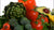 Superfoods: Truly Super or Super Hyped?