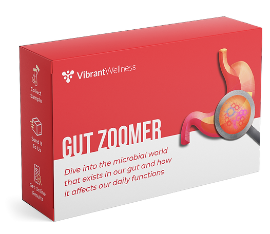 Gut Zoomer