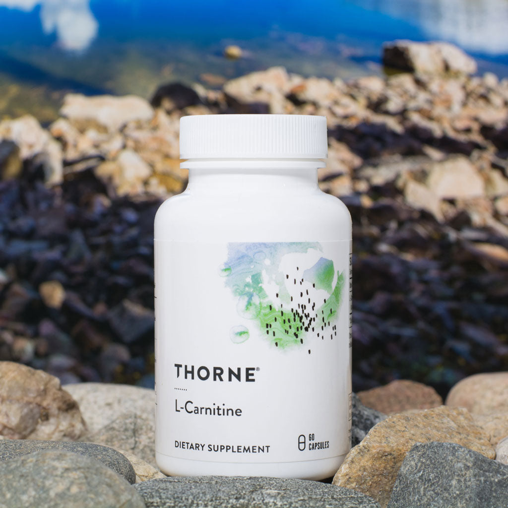 Thorne Research L-Carnitine | L-Carnitine Supplement - The Natural Athletes Clinic Thorne Research L-Carnitine | L-Carnitine Supplement - The Natural Athletes Clinic